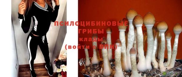 хмурый Лагань
