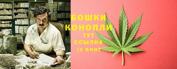 дживик Липки